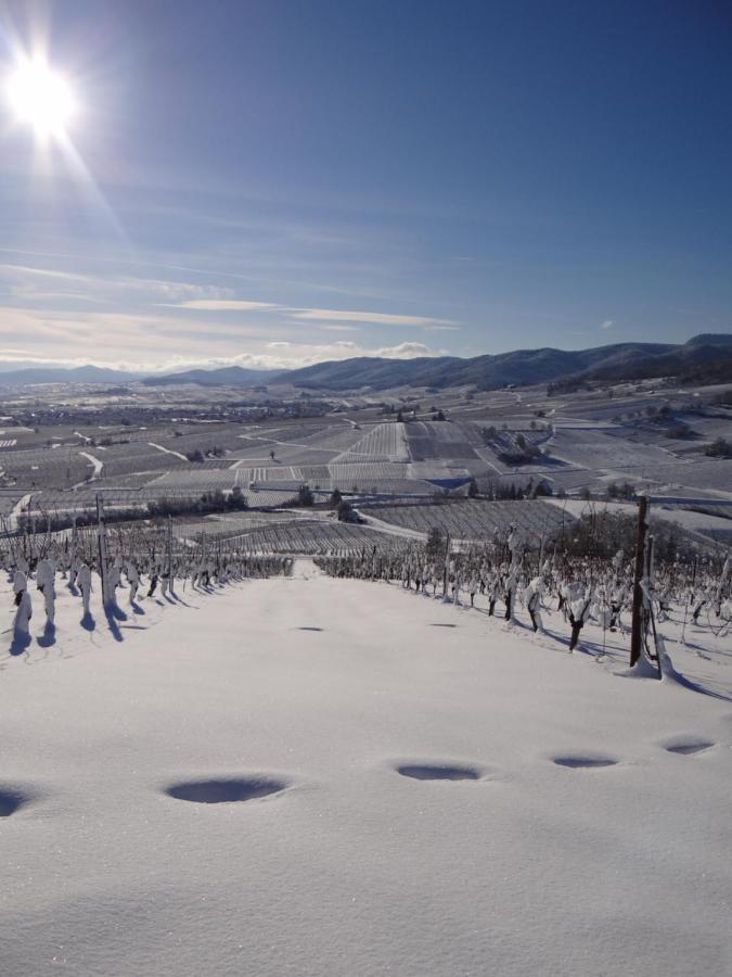 Au Coeur Des Vignes Lägenhet Bergheim Exteriör bild