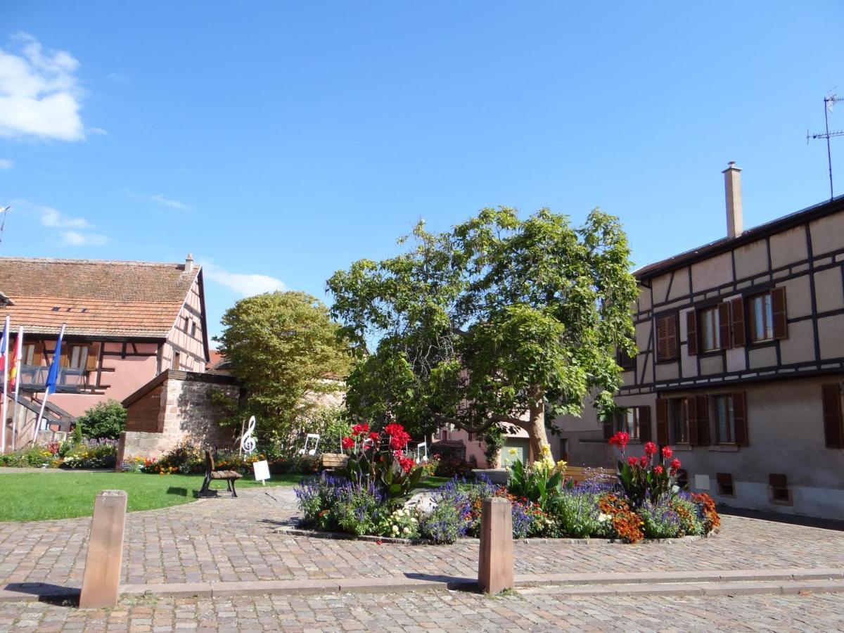 Au Coeur Des Vignes Lägenhet Bergheim Exteriör bild